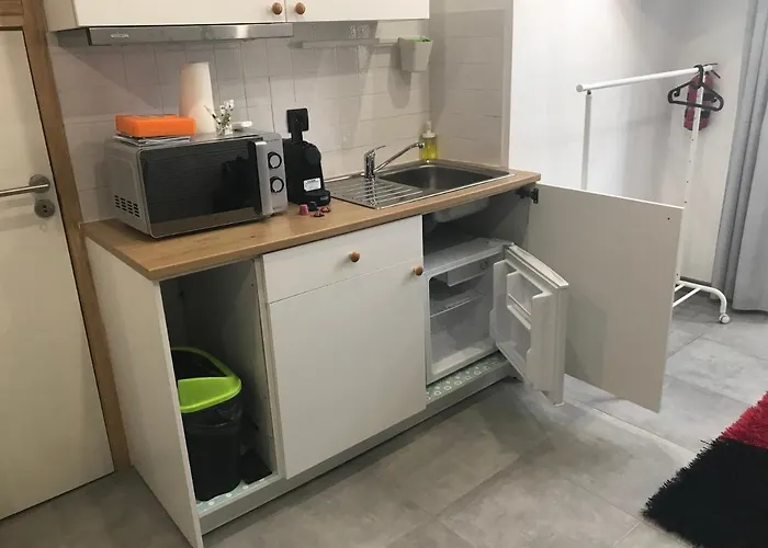 公寓 Joaninha Douro 1 *